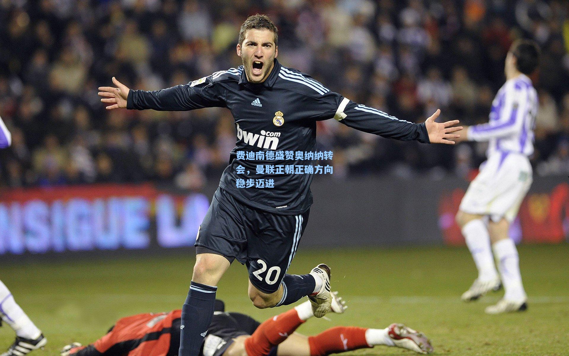 费迪南德盛赞奥纳纳转会，曼联正朝正确方向稳步迈进